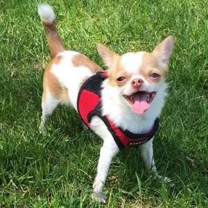 Meet your Posher, Mimi