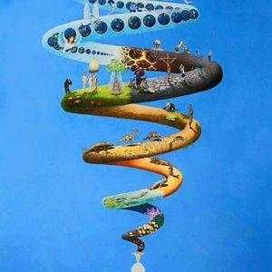 Meet your Posher, Sean