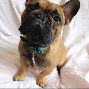 Meet your Posher, Micky