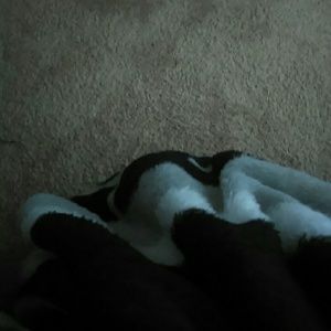 Meet your Posher, Kacie