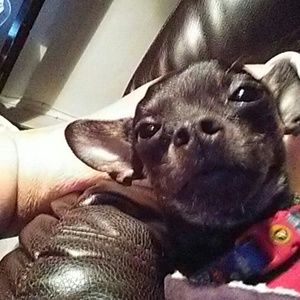 Meet your Posher, Patricia