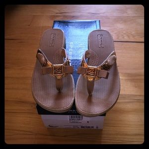 Sperry 8.5 Serenafish Sandals NIB