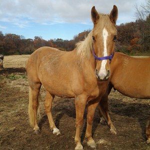 Meet your Posher, Eden