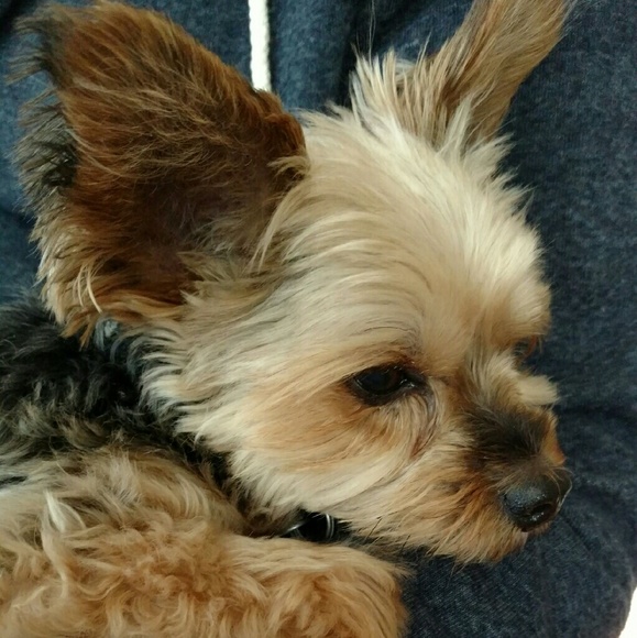 Meet your Posher, Monica