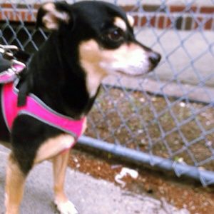 Meet your Posher, Michelle