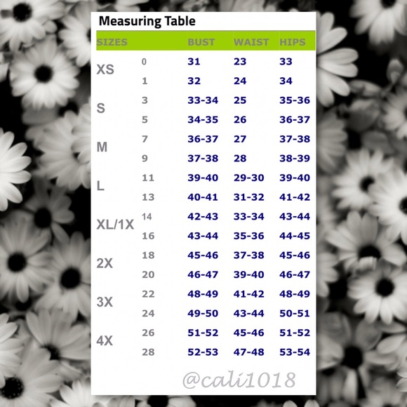 ‼️🆑LOWEST ABSOLUTELY NO OFFERS PLEASE‼️ - Picture 4 of 4