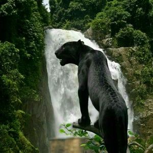 Meet your Posher, Jacquie