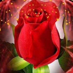 Meet your Posher, Chi emily long