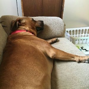 Meet your Posher, Jason