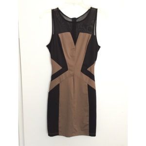 Brown and Black Mesh Bodycon Dress