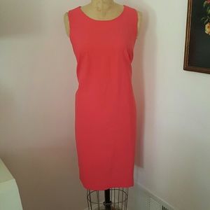 NWT J. Crew Shift Dress