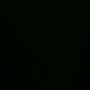 Meet your Posher, Darlene