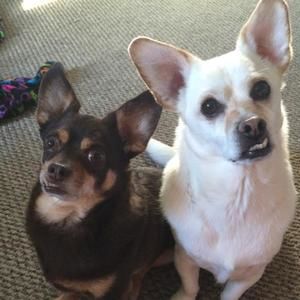 Meet your Posher, Cindy