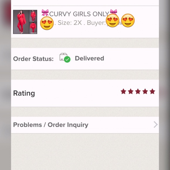 🎀CURVY GIRLS ONLY🎀WINTER CLEAR OUT🎉 - Picture 2 of 4