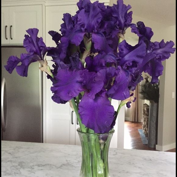 Meet your Posher, L - Picture 2 of 3