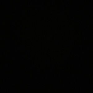 Meet your Posher, Savannah