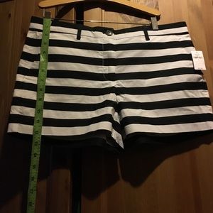 Striped short shorts [NEW WITH TAGS]
