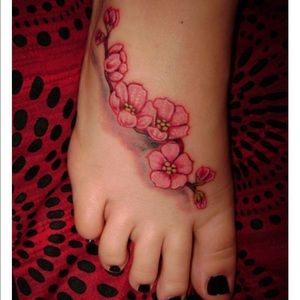 Meet your Posher, Lisandra