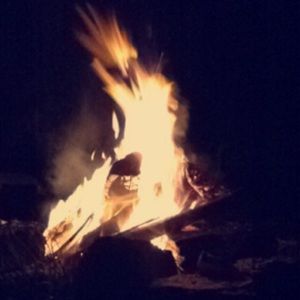 Meet your Posher, Ella