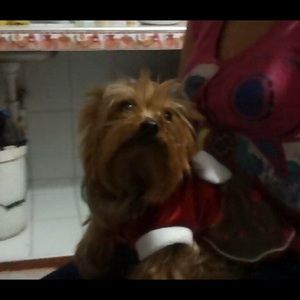 Meet your Posher, Linda