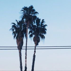 Meet your Posher, Sam