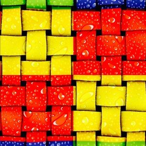 Meet your Posher, Rene