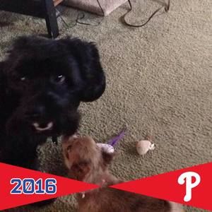 Meet your Posher, Bridget