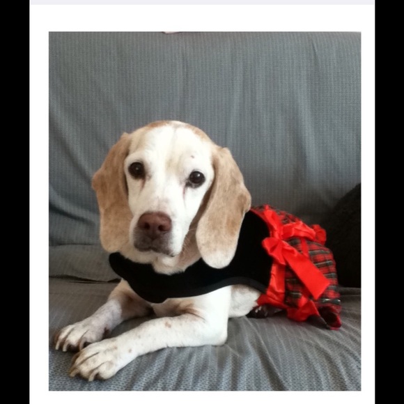 Meet your Posher, Kelly - Picture 1 of 1
