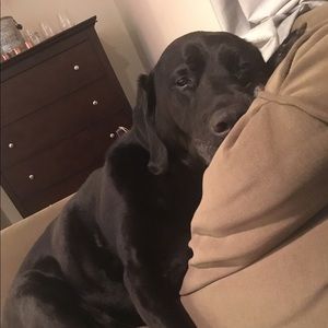 Meet your Posher, Meredith