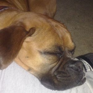 Meet your Posher, Meagan