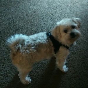 Meet your Posher, Sonya