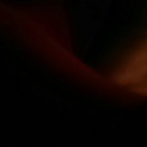 Meet your Posher, Ashlie