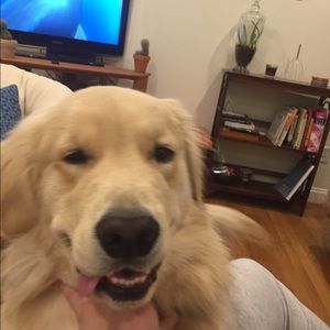 Meet your Posher, Jenna