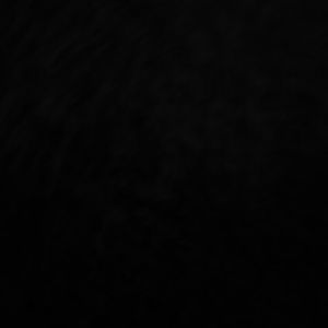 Meet your Posher, Gabriel