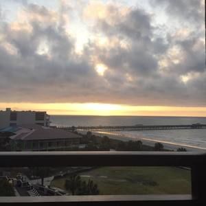 Meet your Posher, Lizzy