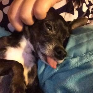 Meet your Posher, Mindy