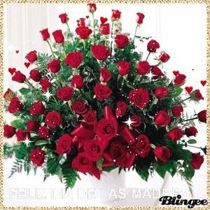 Meet your Posher, Rosa