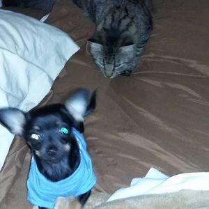 Meet your Posher, Ruby