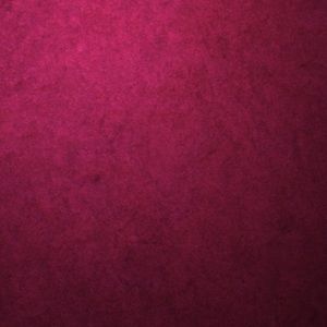 Meet your Posher, Desiree