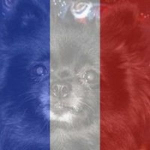 Meet your Posher, Regina