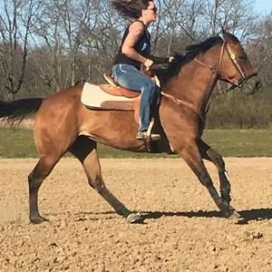 Meet your Posher, Amanda