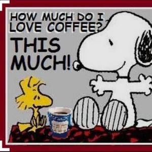 Meet your Posher, Lesa