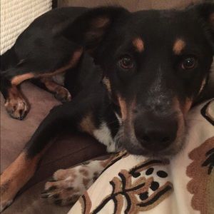 Meet your Posher, Denise