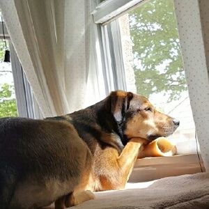 Meet your Posher, Marlene