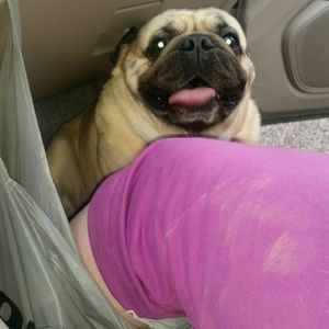 Meet your Posher, Kelliegh