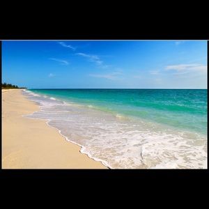 Meet your Posher, Coco