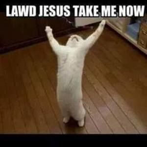 Meet your Posher, Billie