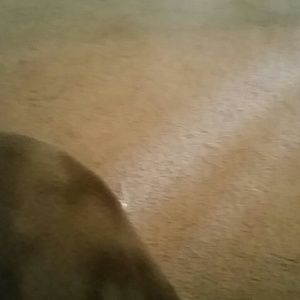 Meet your Posher, Contessa