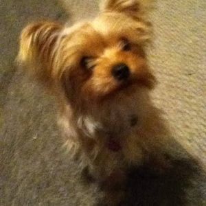 Meet your Posher, April