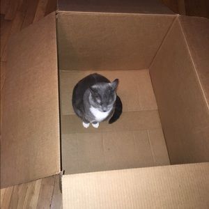 Meet your Posher, Kelly